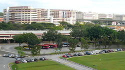 Blk 262 Serangoon Central Drive (Serangoon), HDB 3 Rooms #138936112